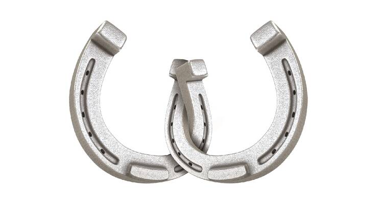 Lucky horseshoe