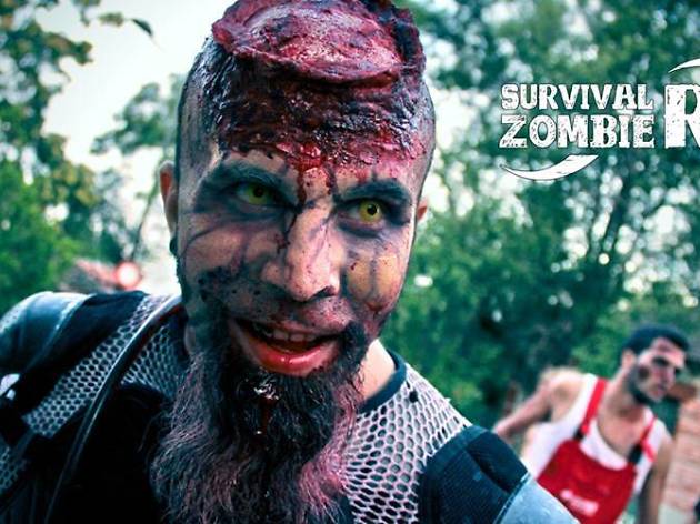 Survival Zombie Run Survival Zombie Run