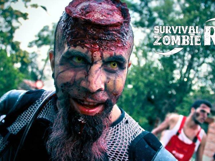 Survival Zombie Run