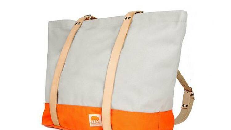 Bike-to-Beach bag from Alite, $140