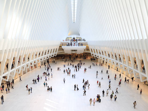 The Oculus The Oculus