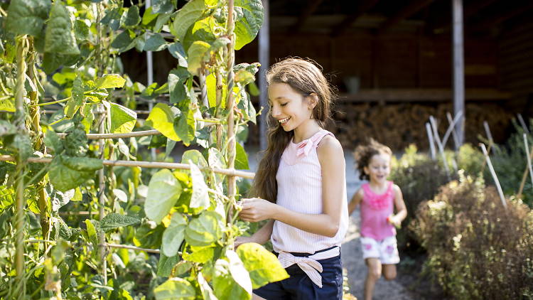 Two girls in the garden 