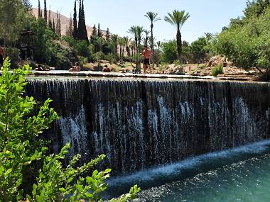 Israel's Top Adventures in Nature