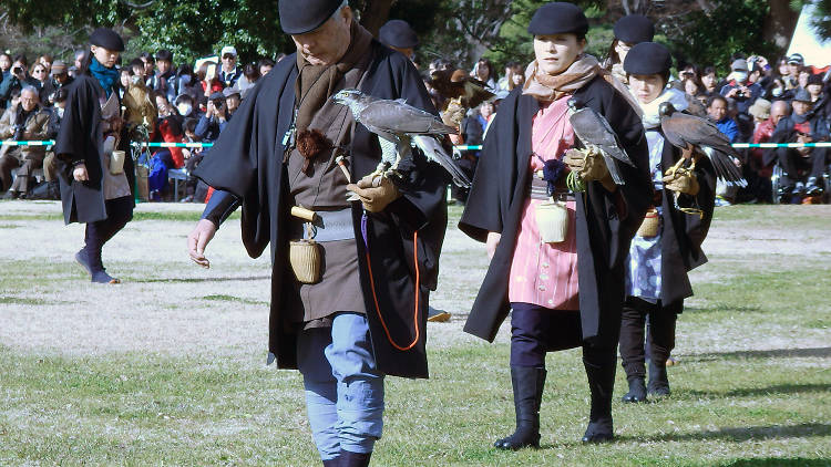 Hamarikyu Garden Falconry Performance | Time Out Tokyo