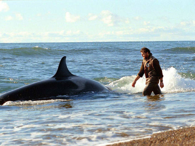 El faro de las orcas El faro de las orcas
