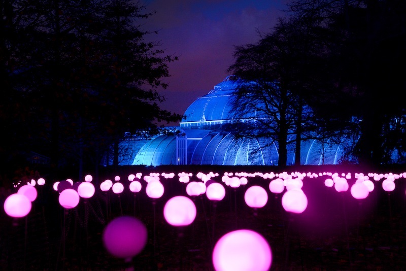 Christmas At Kew Gardens Things To Do In London