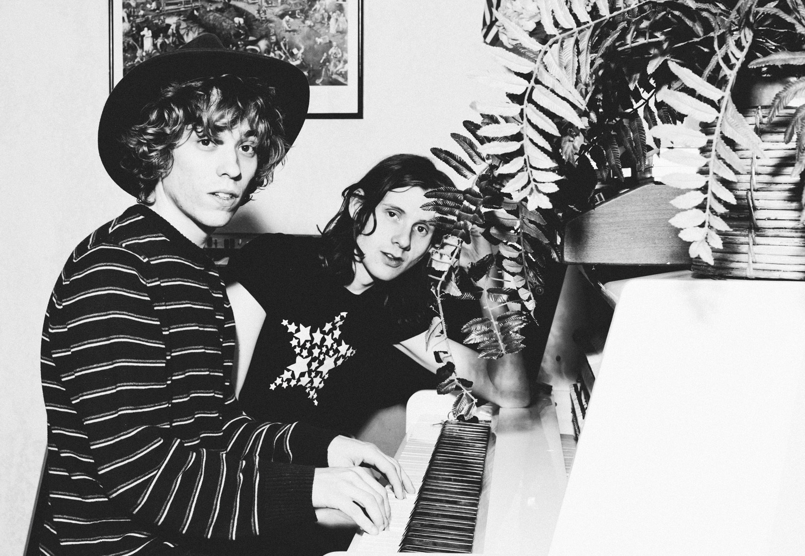 Foxygen.