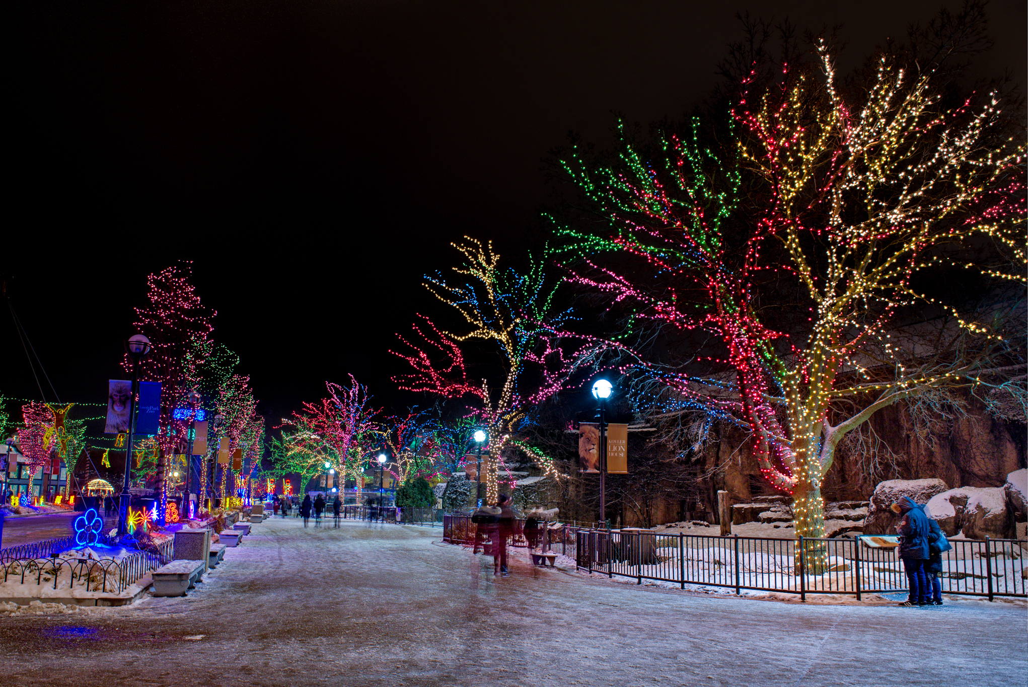 Twinkling photos from ZooLights at Lincoln Park Zoo