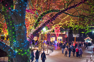 Christmas Concerts Chicago 2019 Christmas In Chicago 2019 Guide Including Festive Things to Do Christmas Concerts Chicago 2019 Christmas In Chicago 2019 Guide Including Festive Things to Do
