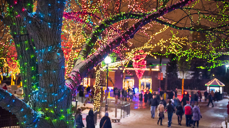 Celebrate the holidays with a walk through local light displays