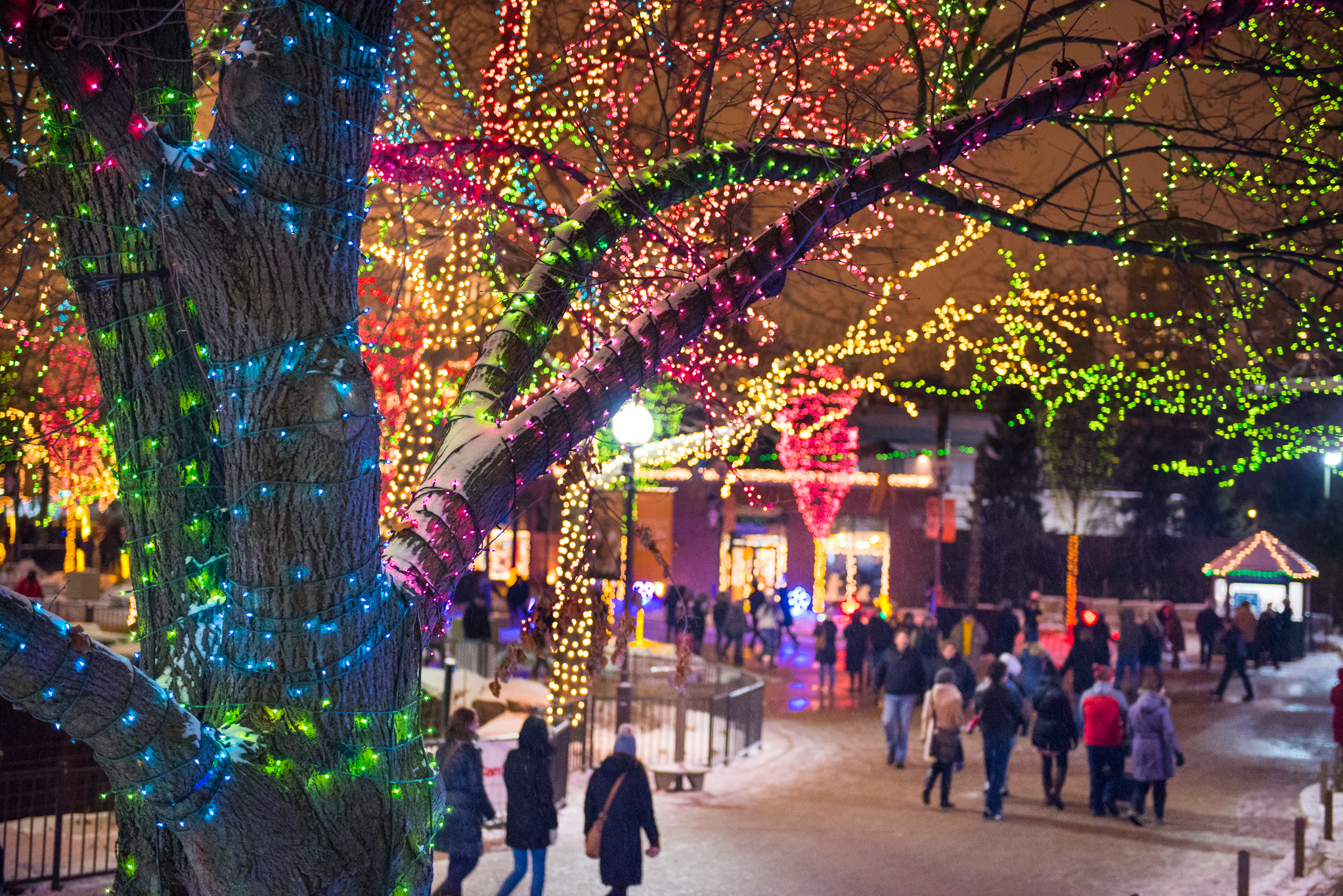 11 Places to See Christmas Lights in Chicago