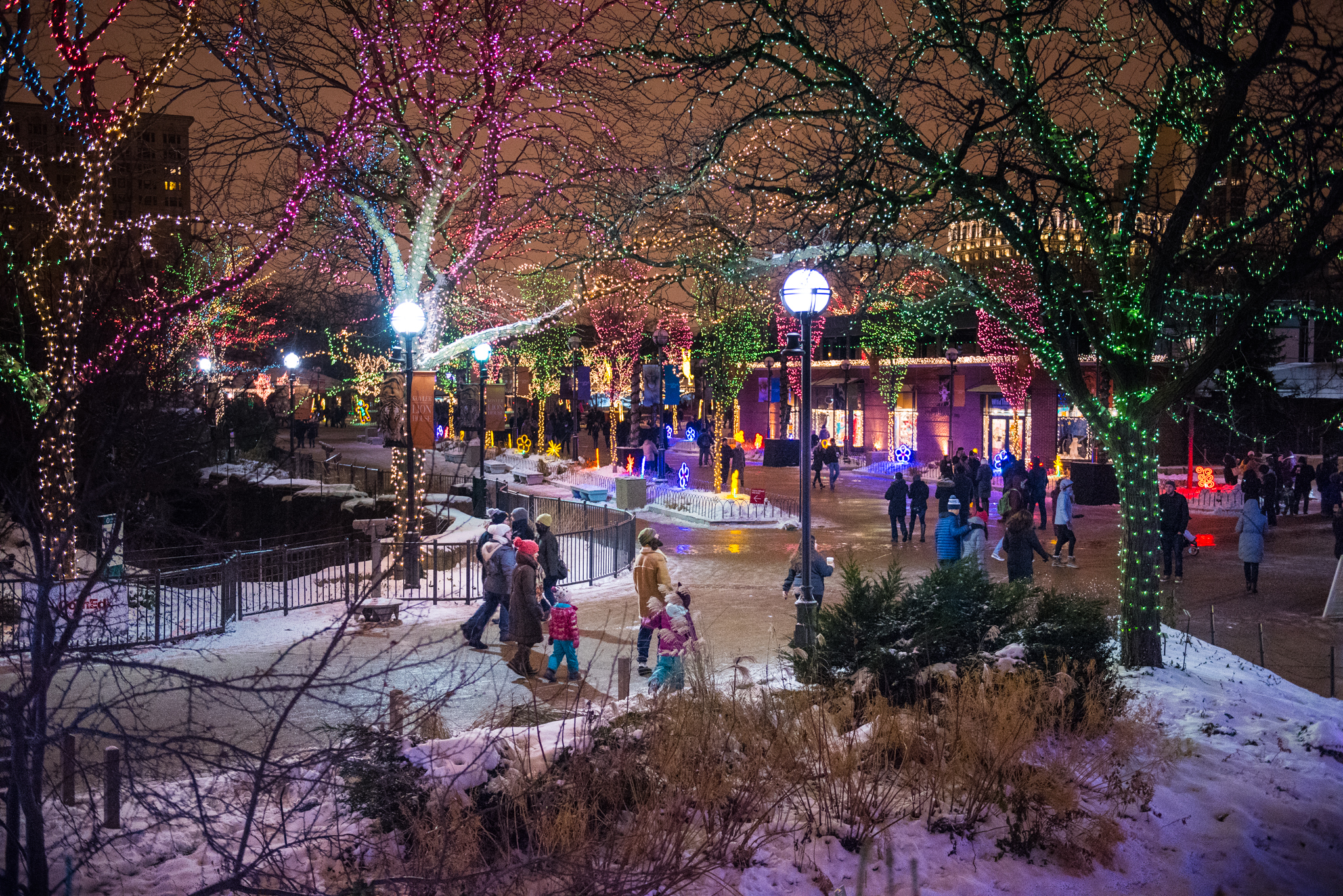 Christmas In Chicago 2020 Guide Including Festive Things To Do