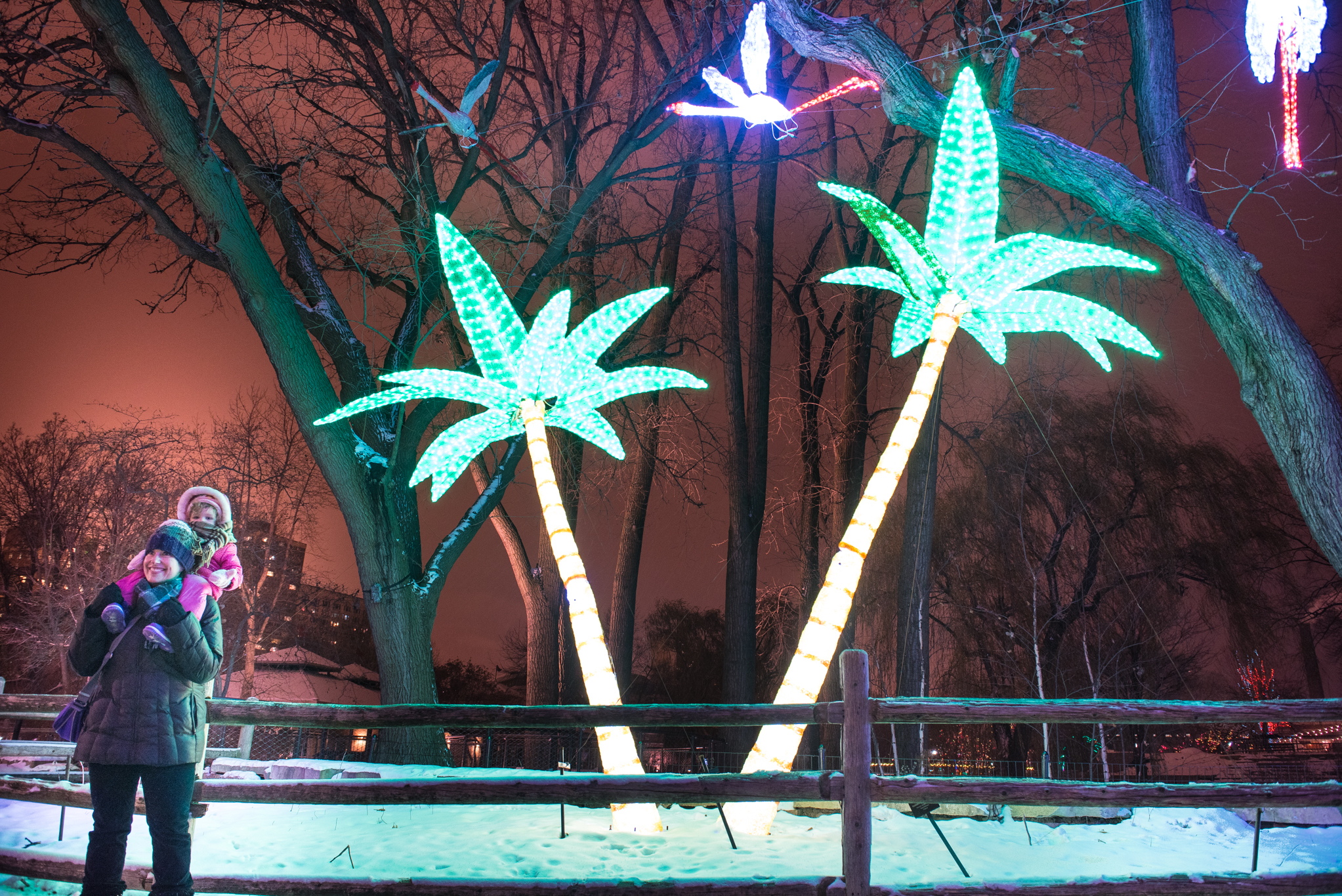 Twinkling photos from ZooLights at Lincoln Park Zoo