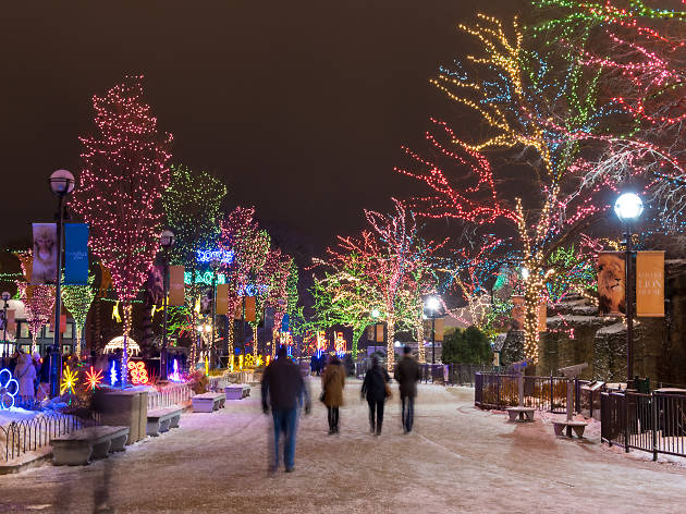 The best things to do in Chicago in December 2017