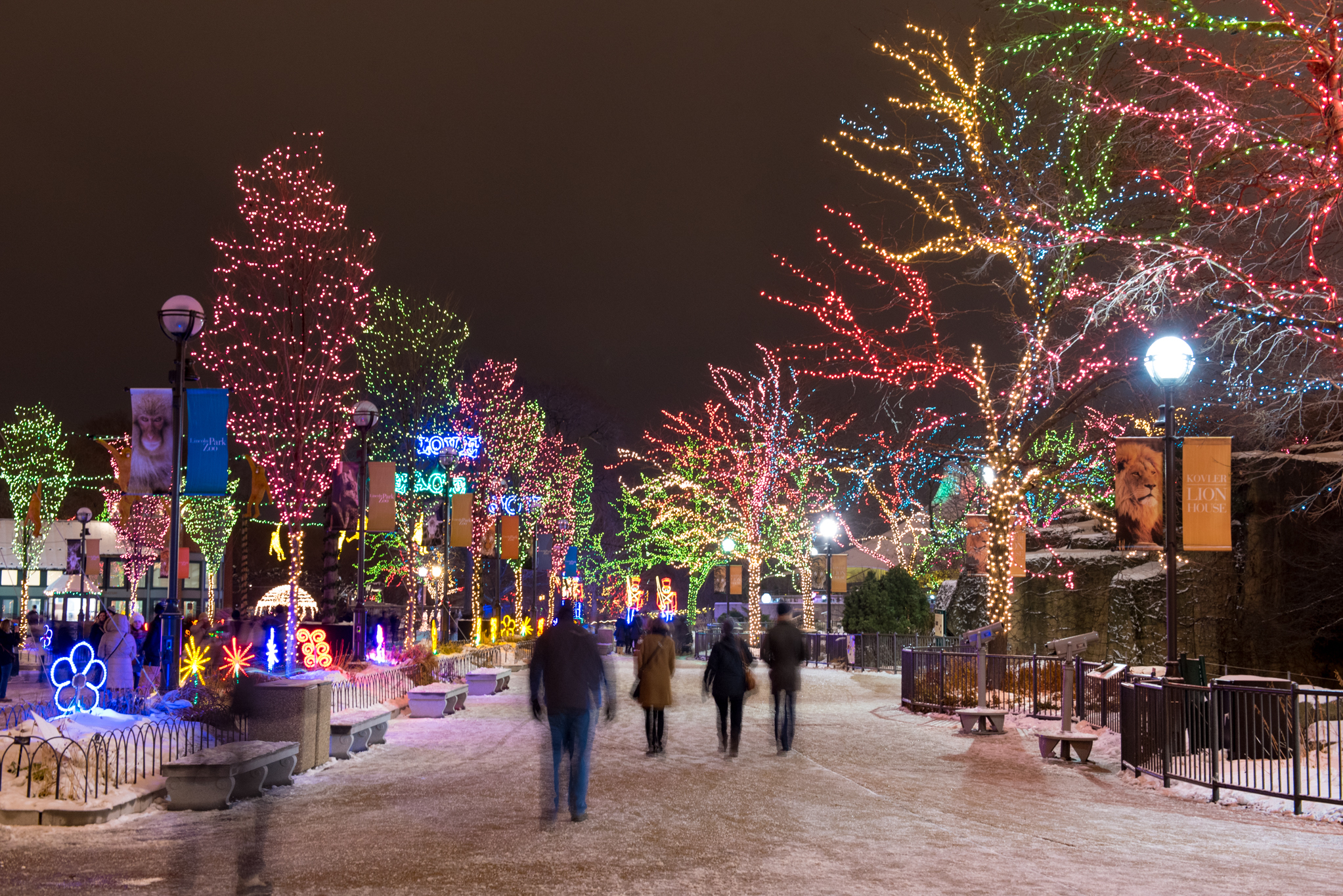 Chicago Christmas Lights