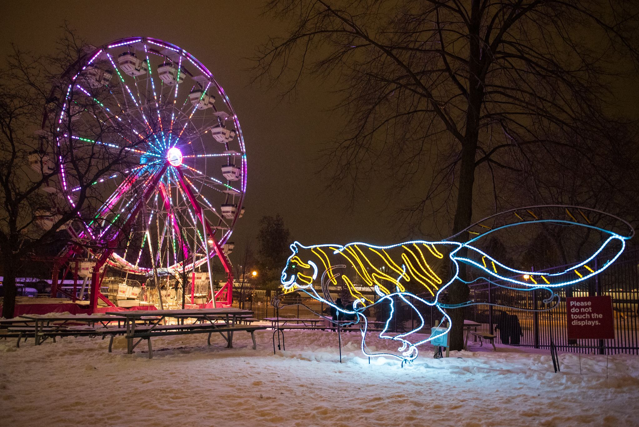 Twinkling photos from ZooLights at Lincoln Park Zoo