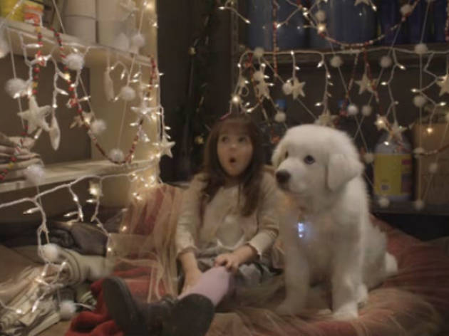 Santa Paws Santa Paws
