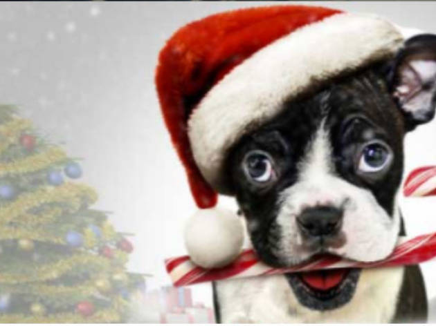 Solo en Navidad Solo en Navidad