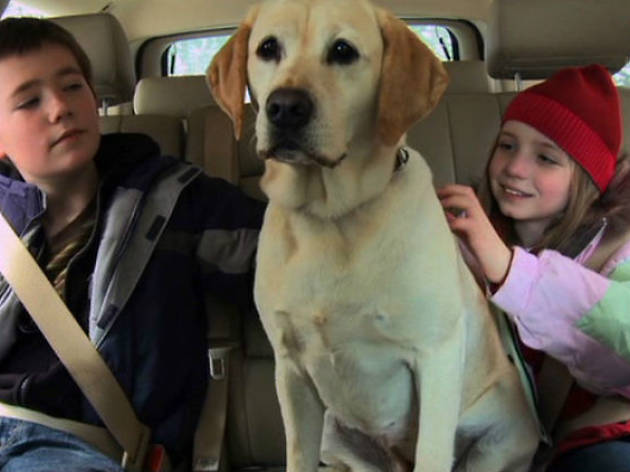 El perro que salvó la Navidad El perro que salvó la Navidad