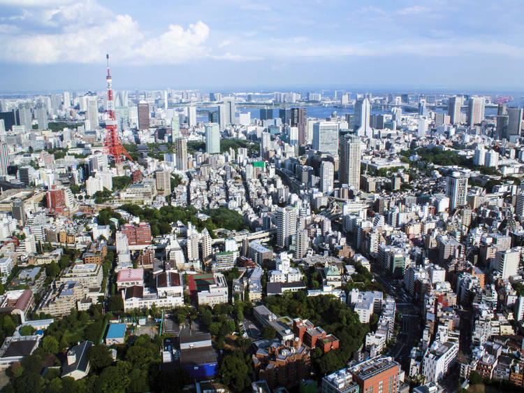 東京の結果と住人からの声