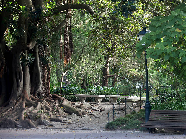 Jardim da Estrela Jardim da Estrela