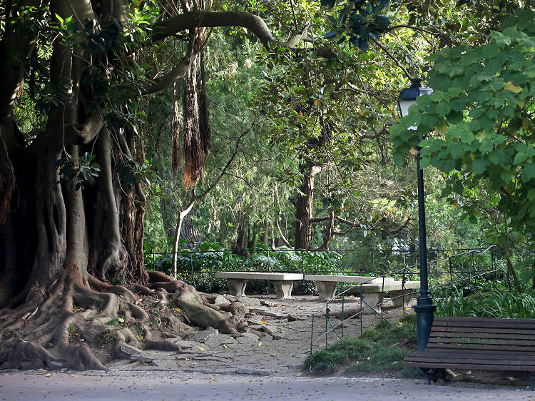 Pelos jardins de Lisboa