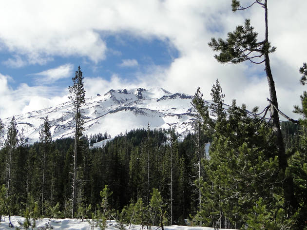 Mt. Bachelor Mt. Bachelor