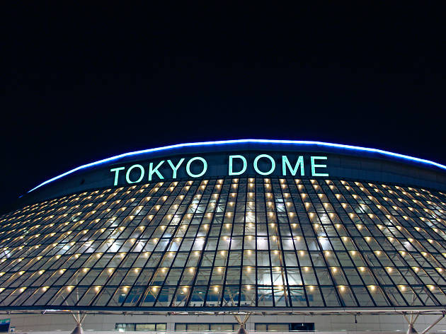 東京ドーム 東京ドーム