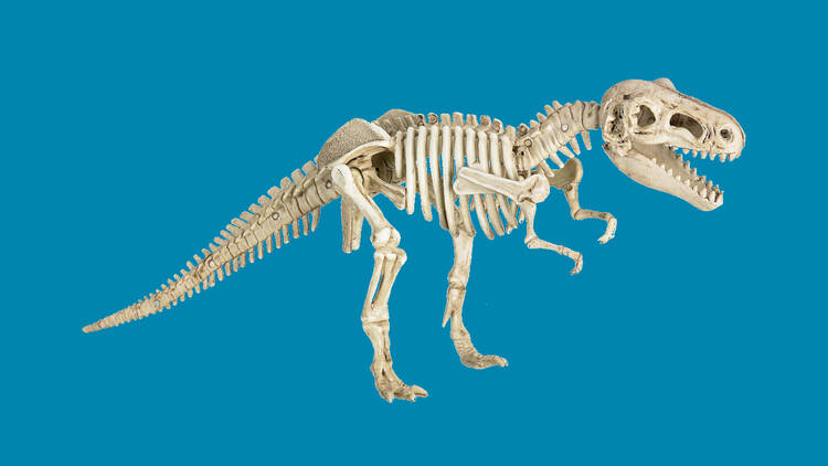 T-Rex skeleton figurine