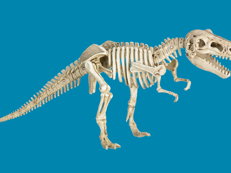 T-Rex skeleton figurine