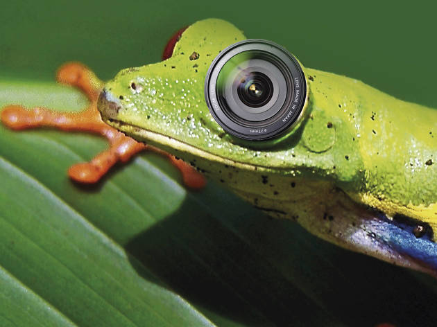 Conruso de Fotografía Biodiversidad y cambio climático Conruso de Fotografía Biodiversidad y cambio climático