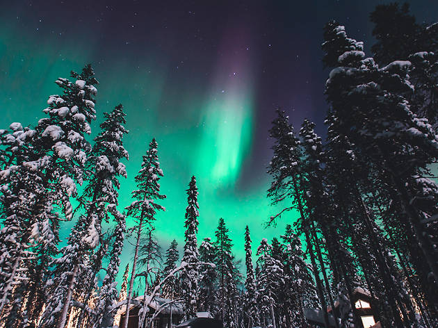 Northern Lights Northern Lights