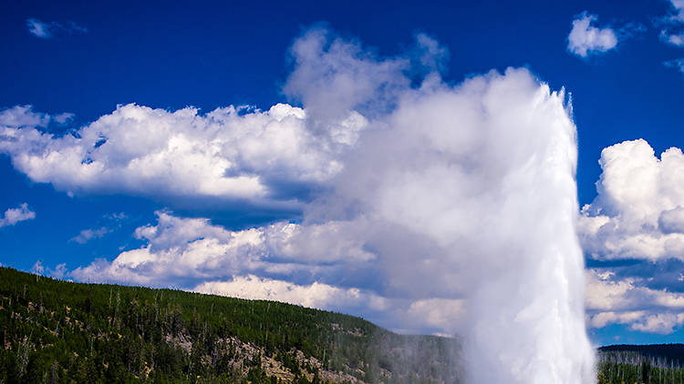 Old Faithful | Yellowstone Park, WY