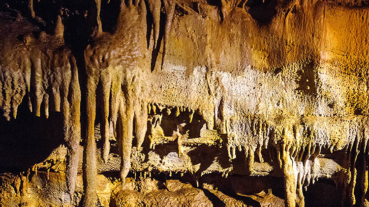 Mammoth Cave Park | Kentucky