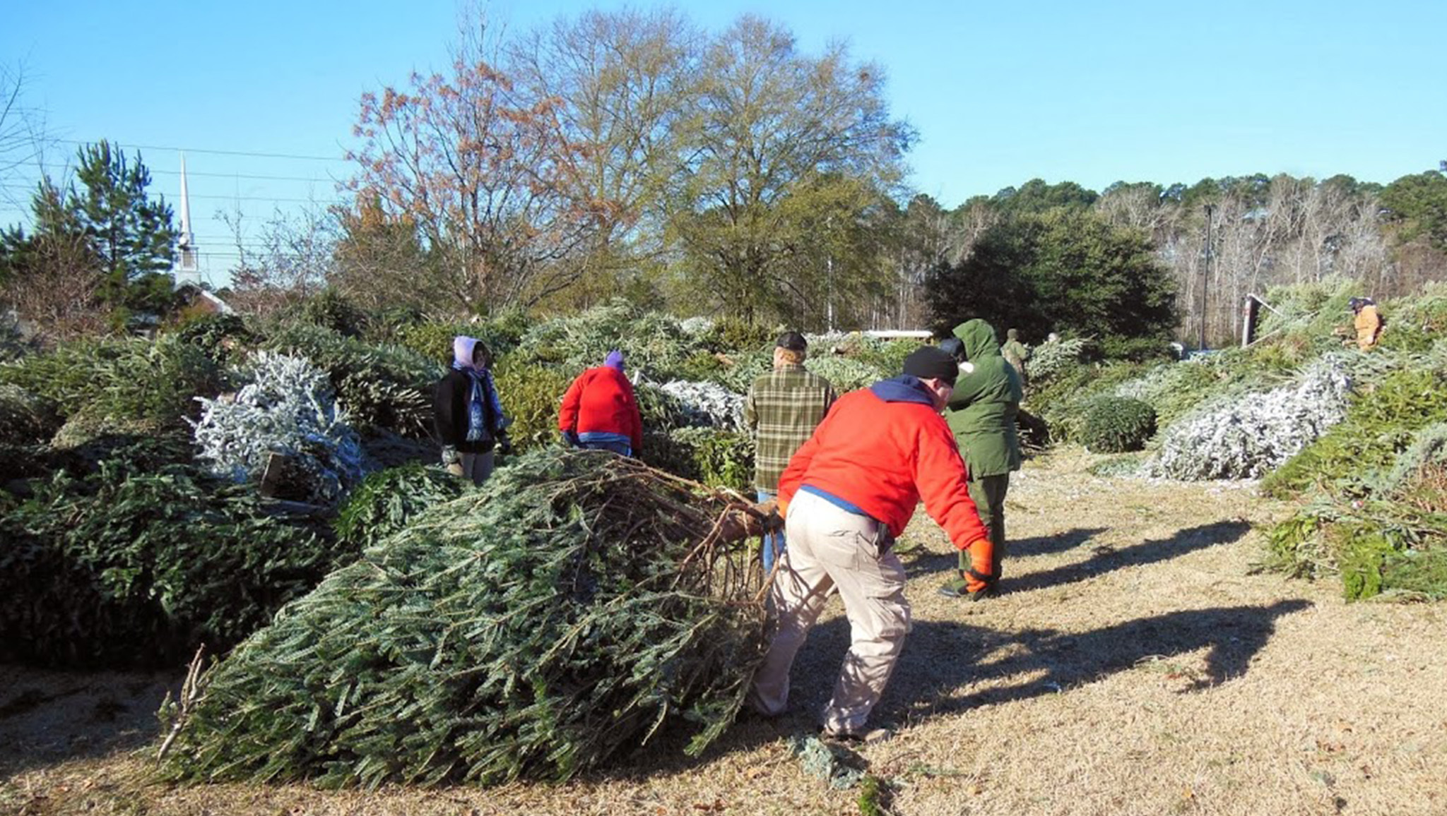 Chicago parks guide Things to do in the Chicago Park District