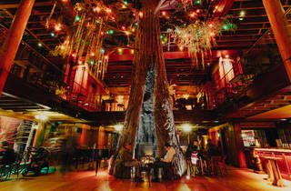 new year decorations los angeles new year s luau nightlife in los angeles new year decorations los angeles new year s luau nightlife in los angeles