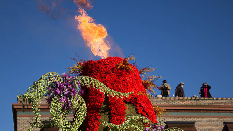 Rose Parade