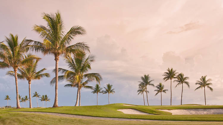 Golf course in Miami