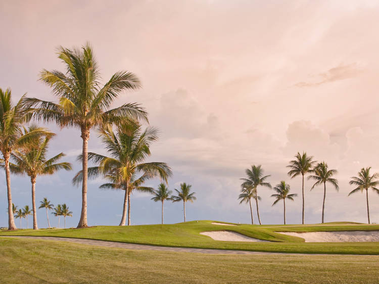 8 top Miami golf courses for winter swingers