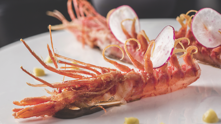 Spiga Hong Kong – prawn