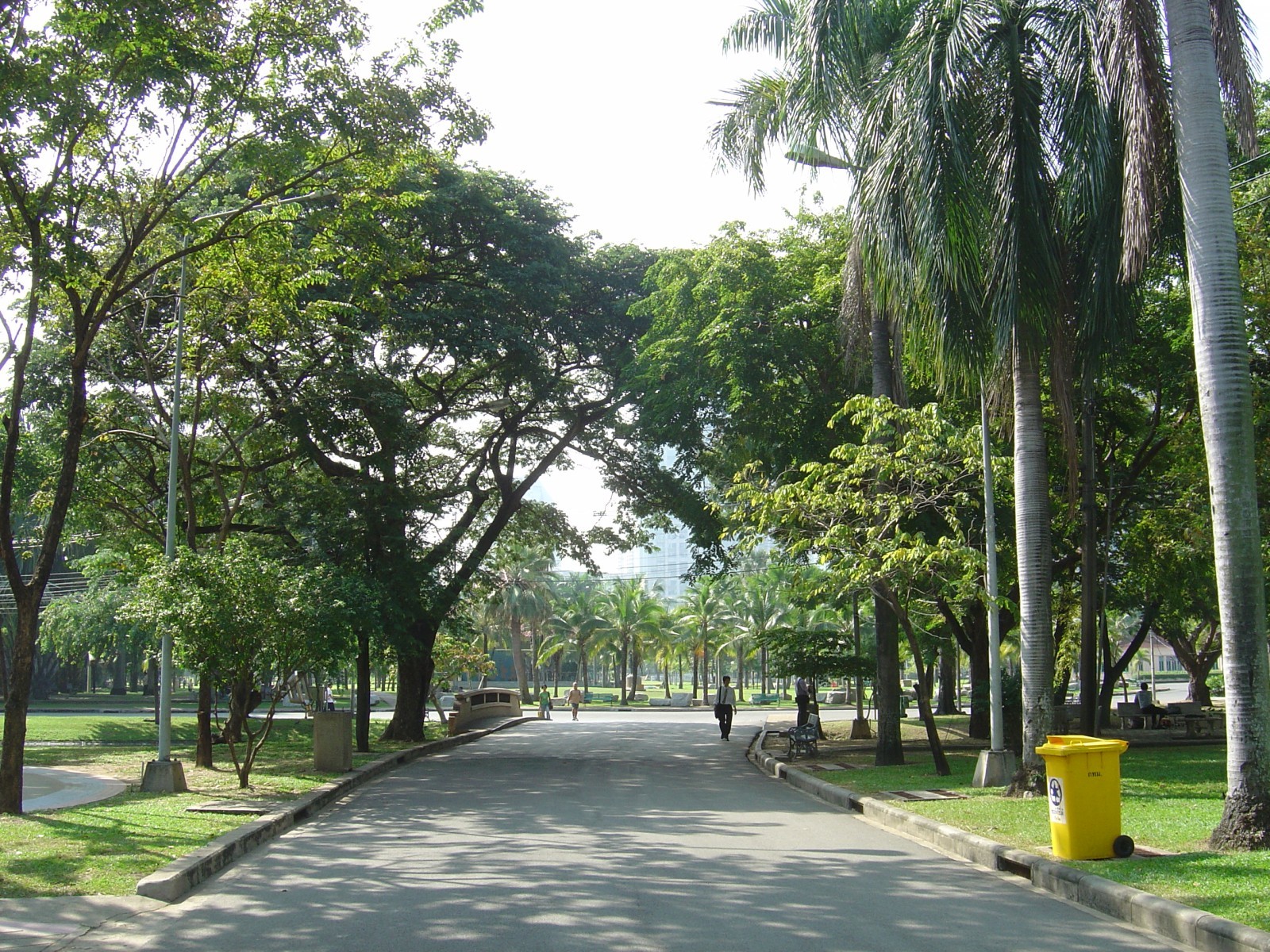 Lumphini Park | Attractions in Lumphini, Bangkok