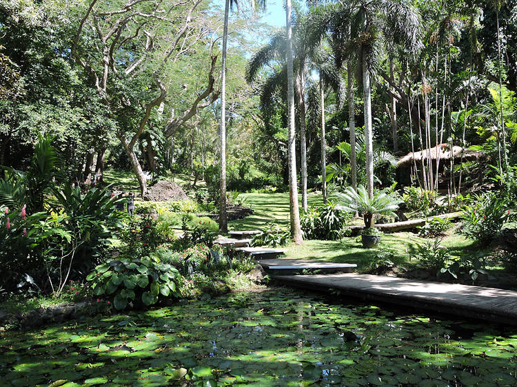 A horticultural haven