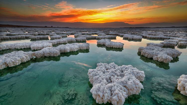 The Dead Sea