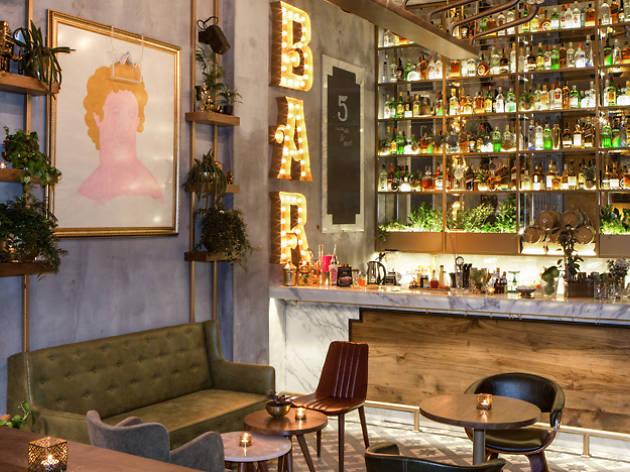 5 Cocktails & More 5 Cocktails & More