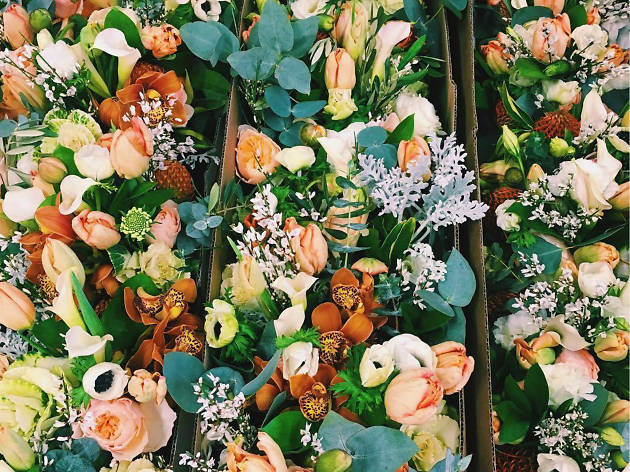 Flores para regalar Flores para regalar