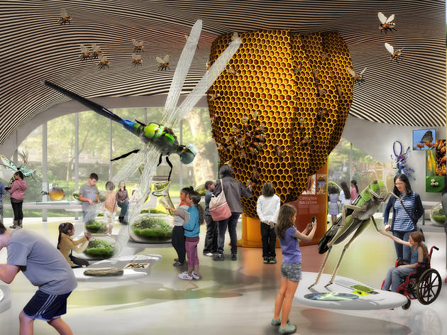 The Museum of Natural History is getting a gallery full of bugs The Museum of Natural History is getting a gallery full of bugs