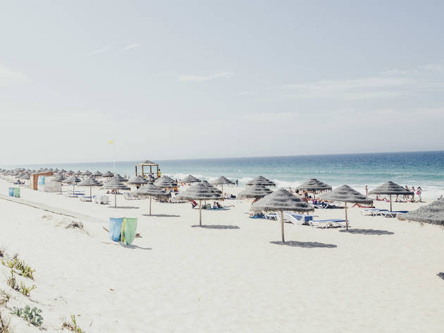 Praia do Carvalhal Praia do Carvalhal