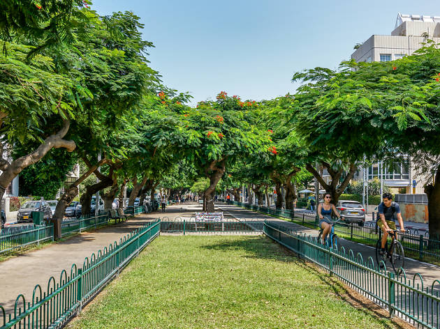 Promenade sur le Boulevard Rothschild de Tel-Aviv Promenade sur le Boulevard Rothschild de Tel-Aviv