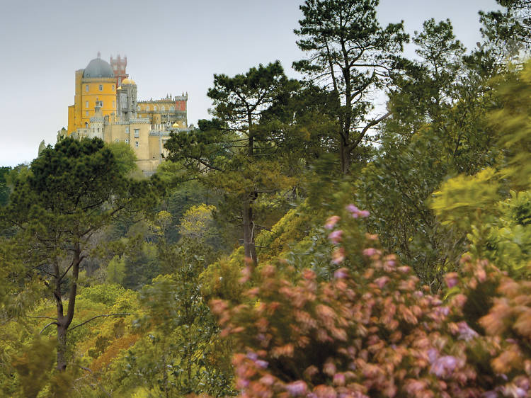 Fun things to do near Lisbon: visit Sintra