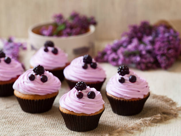 cupcakes cupcakes